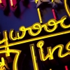 n_harasz_hollywood_neon_upclose14