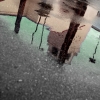 n_harasz_la_reflections25