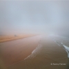 n_harasz_ocean11